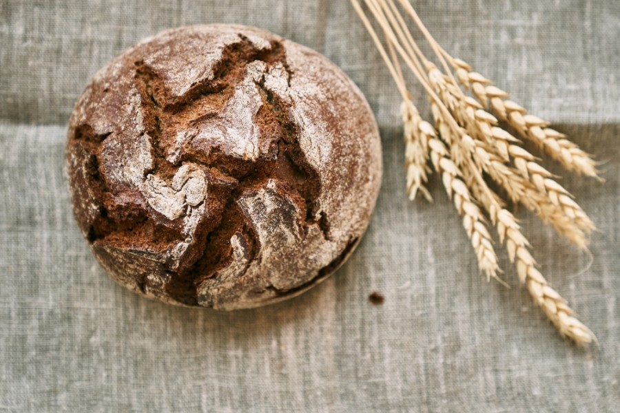 Tout savoir sur la présence de gluten dans le seigle